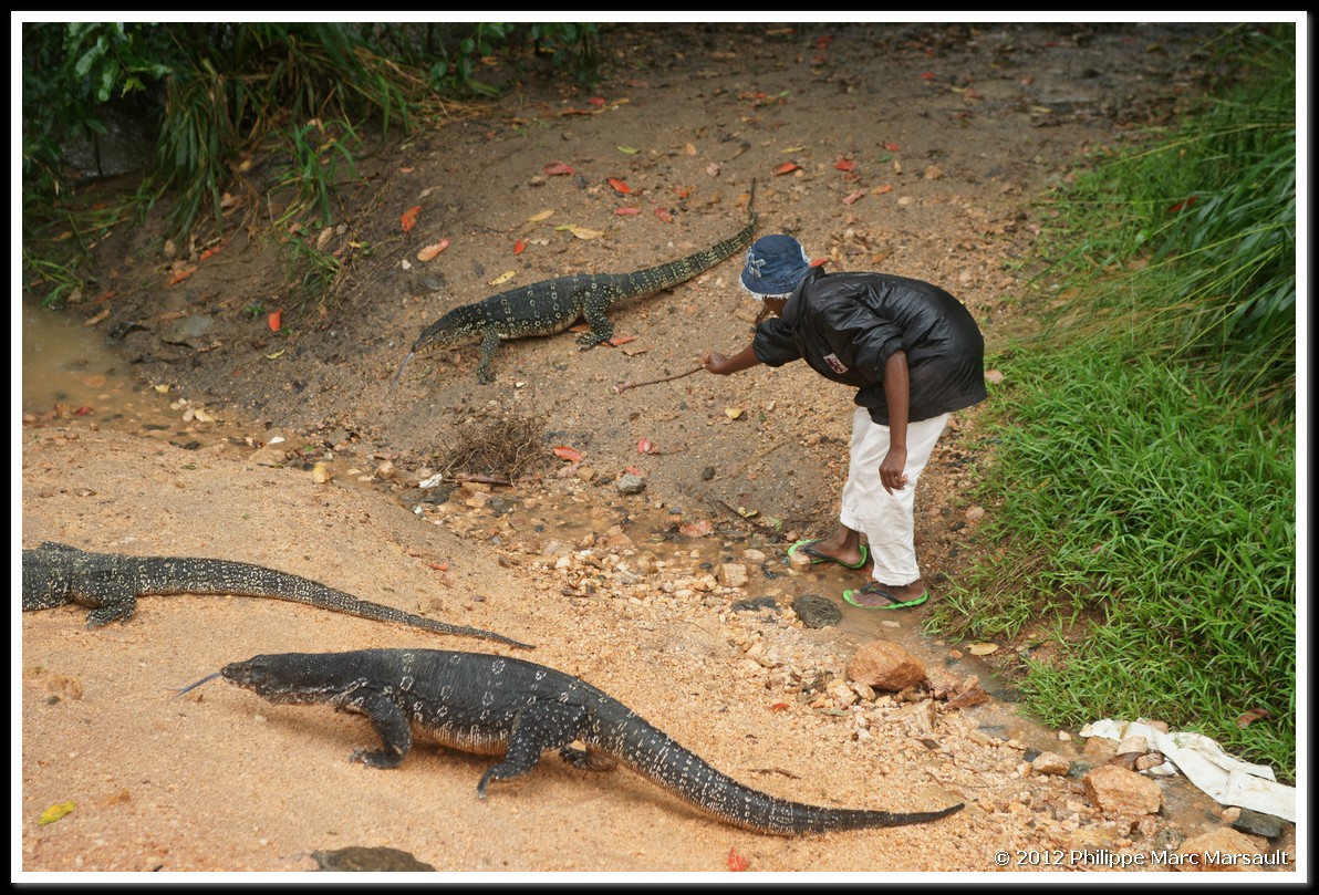 /ecran/Sri_Lanka_1101.jpg