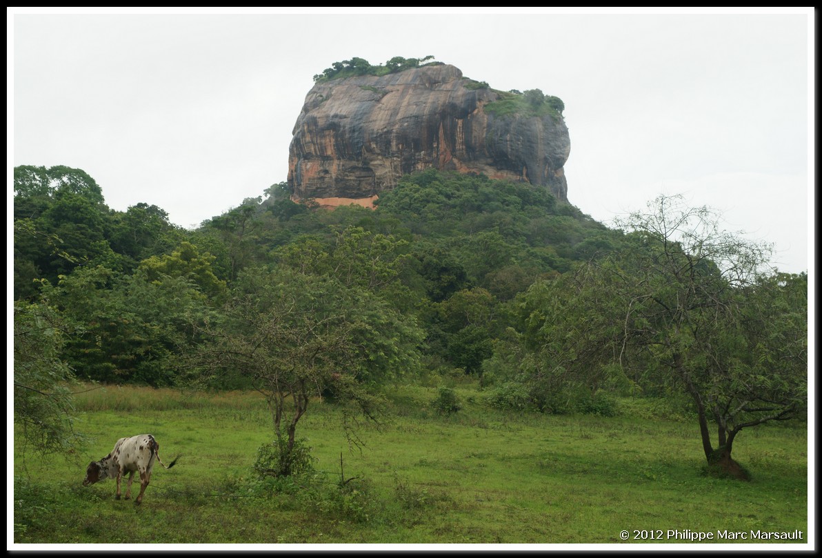 /ecran/Sri_Lanka_1202.jpg