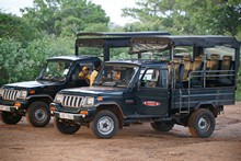 vignette Sri_Lanka_0258.jpg 
