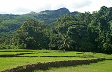 vignette Sri_Lanka_0280.jpg 