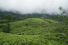 vignette Sri_Lanka_0288.jpg 