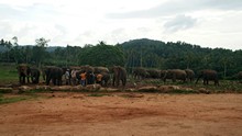 vignette Sri_Lanka_0665.jpg 