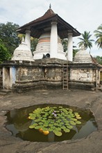 vignette Sri_Lanka_0789.jpg 