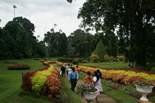 vignette Sri_Lanka_0881.jpg 