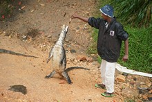 vignette Sri_Lanka_1099.jpg 