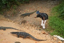 vignette Sri_Lanka_1101.jpg 