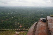 vignette Sri_Lanka_1250.jpg 
