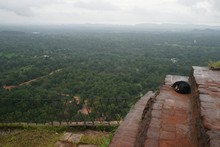 vignette Sri_Lanka_1250.jpg 