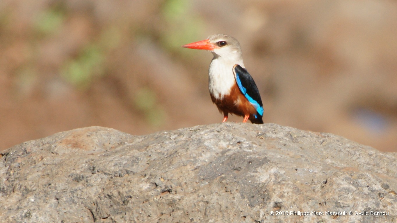 /ecran/Tanzanie_2015_0068.jpg