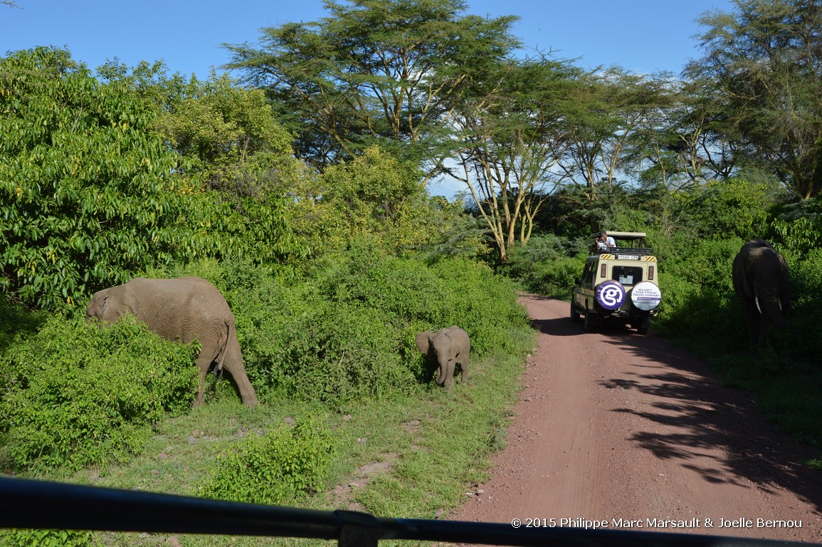 /ecran/Tanzanie_2015_0088.jpg