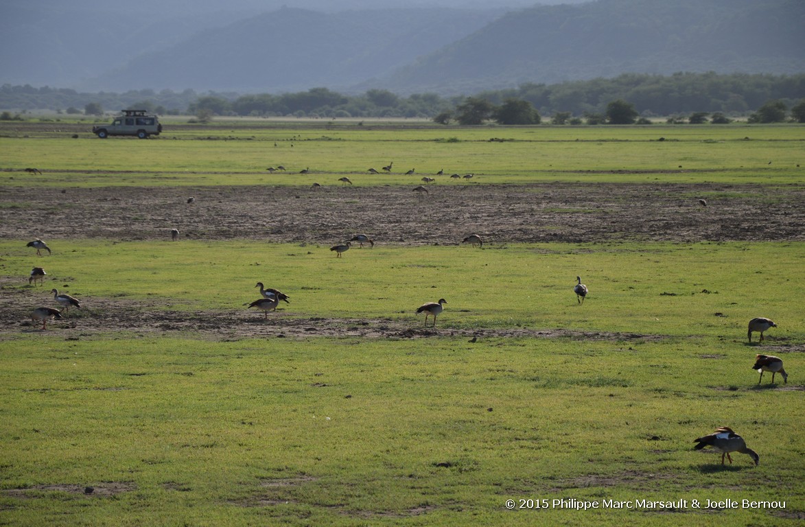 /ecran/Tanzanie_2015_0111.jpg