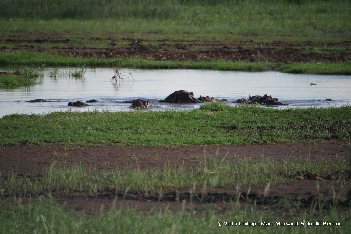 /ecran/Tanzanie_2015_0122.jpg