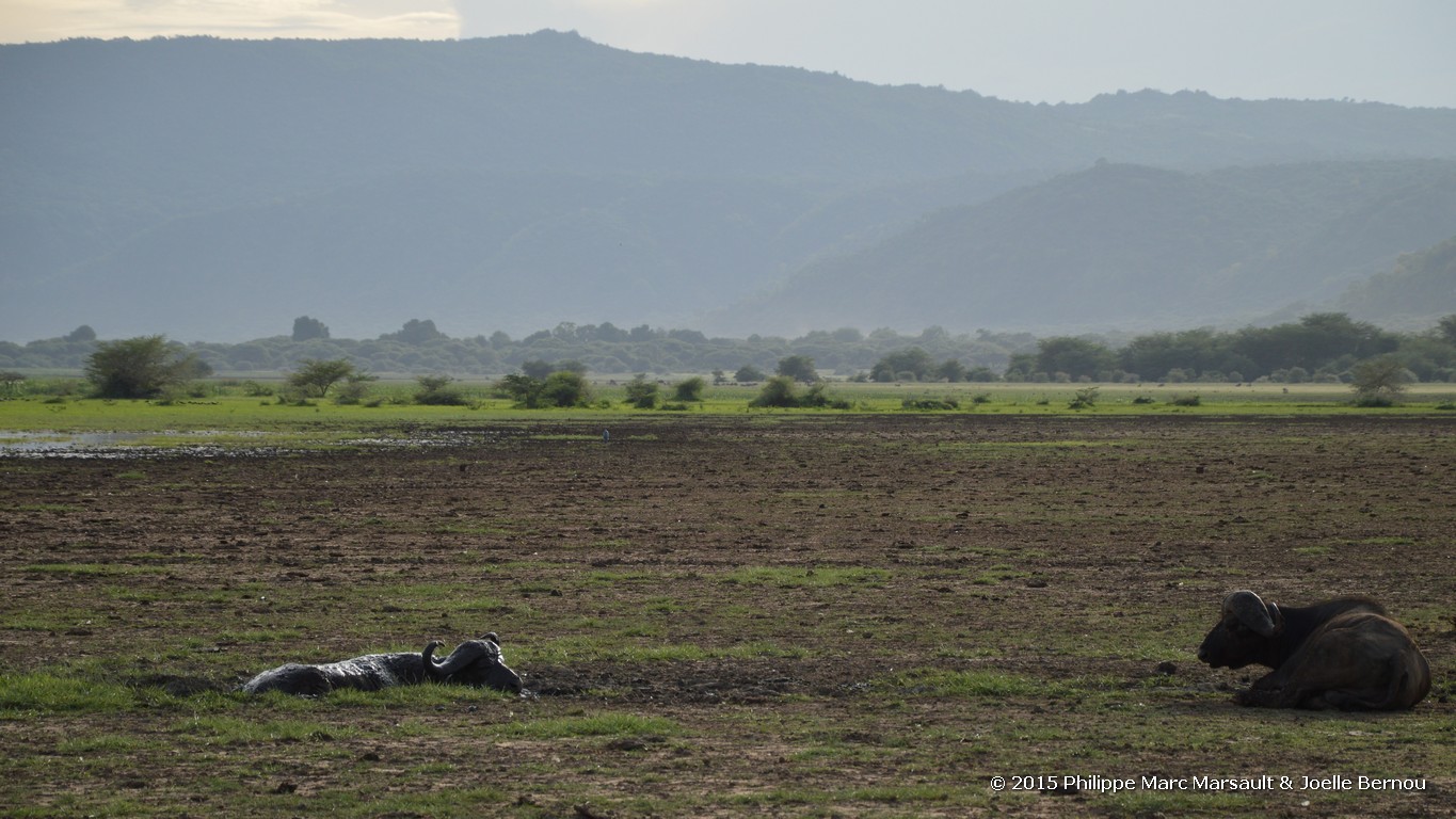 /ecran/Tanzanie_2015_0136.jpg