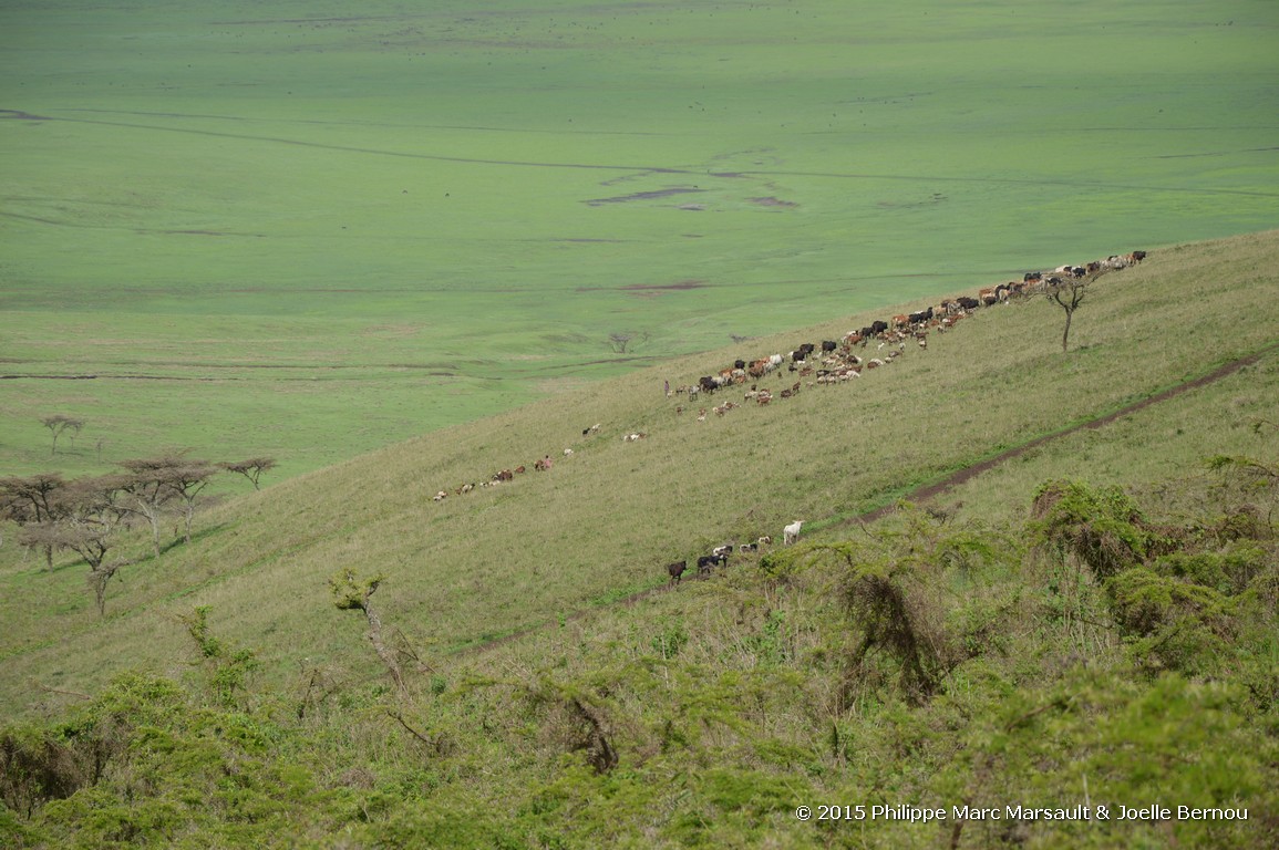 /ecran/Tanzanie_2015_0202.jpg