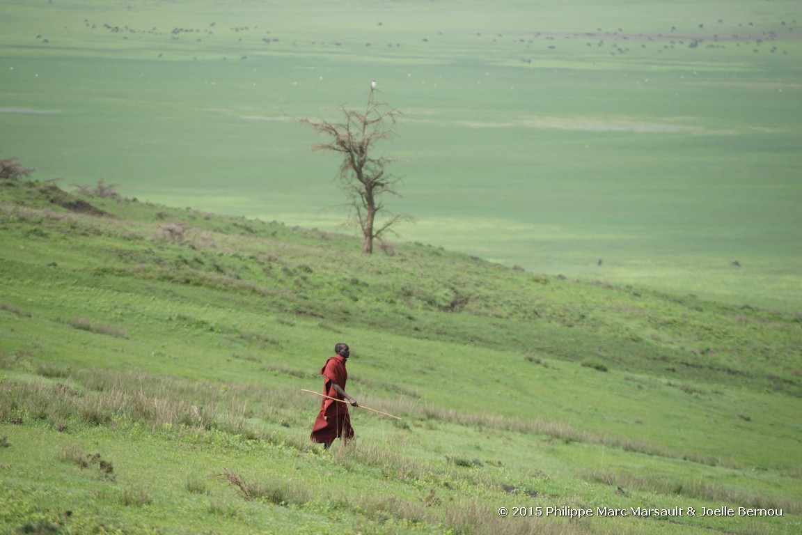 /ecran/Tanzanie_2015_0216.jpg