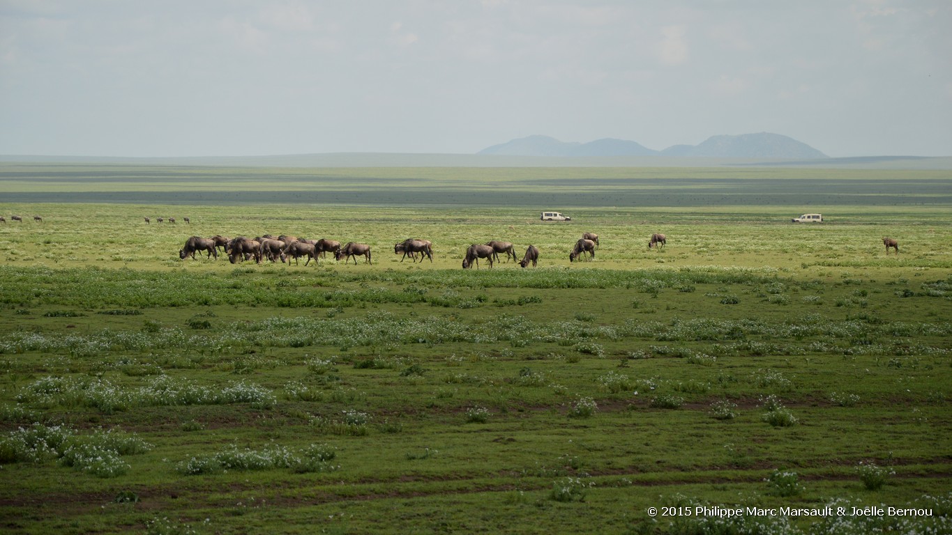 /ecran/Tanzanie_2015_0242.jpg