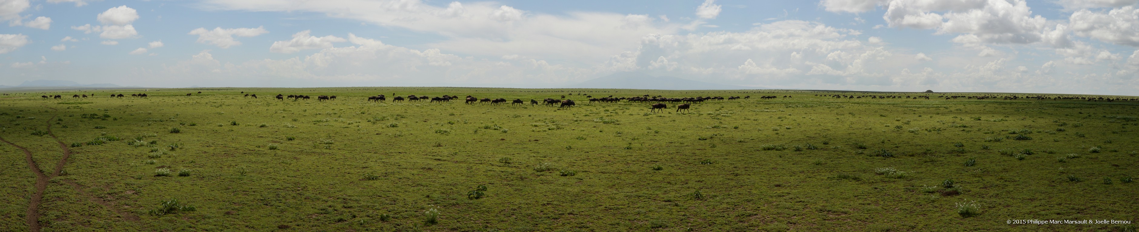 /ecran/Tanzanie_2015_0244.jpg