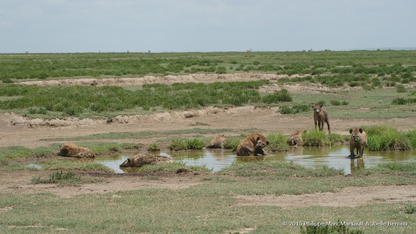 /ecran/Tanzanie_2015_0268.jpg