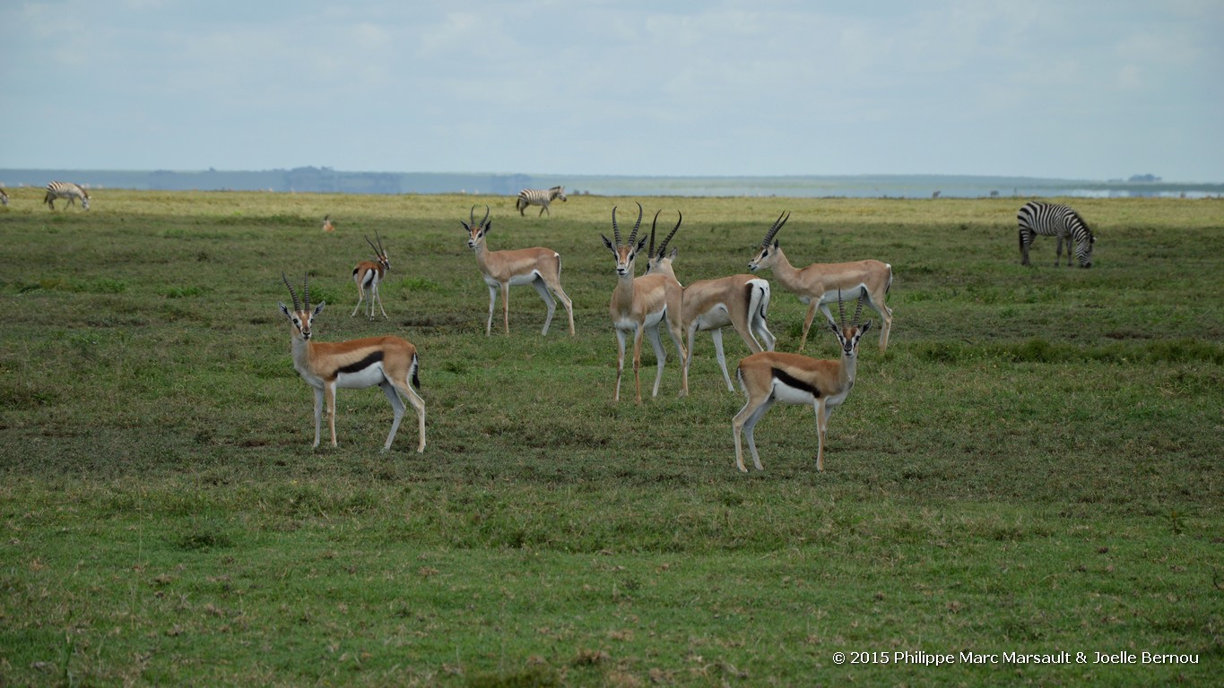 /ecran/Tanzanie_2015_0290.jpg