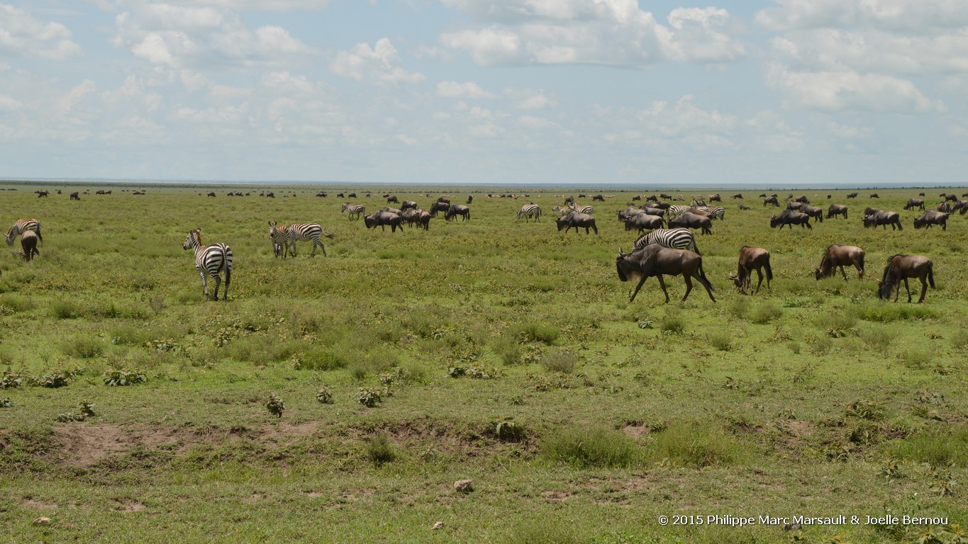 /ecran/Tanzanie_2015_0302.jpg