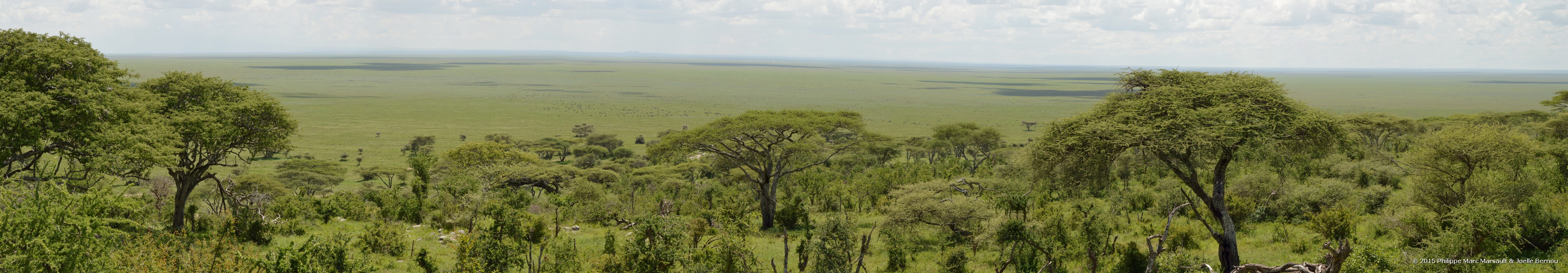 /ecran/Tanzanie_2015_0310.jpg