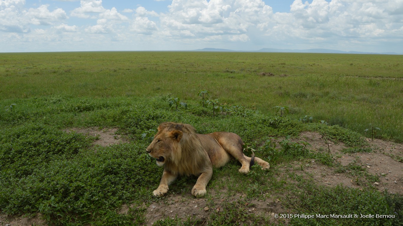 /ecran/Tanzanie_2015_0341.jpg