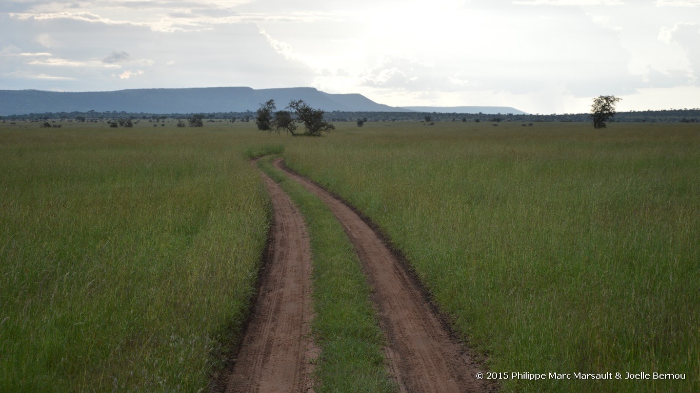 /ecran/Tanzanie_2015_0372.jpg