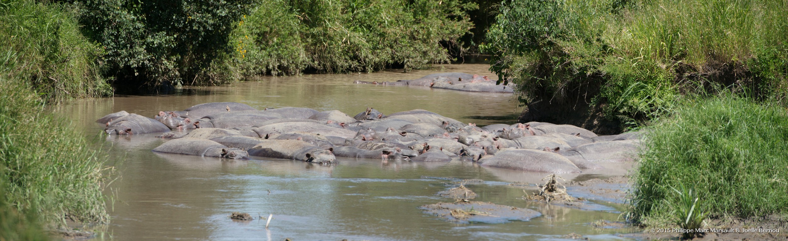 /ecran/Tanzanie_2015_0525.jpg