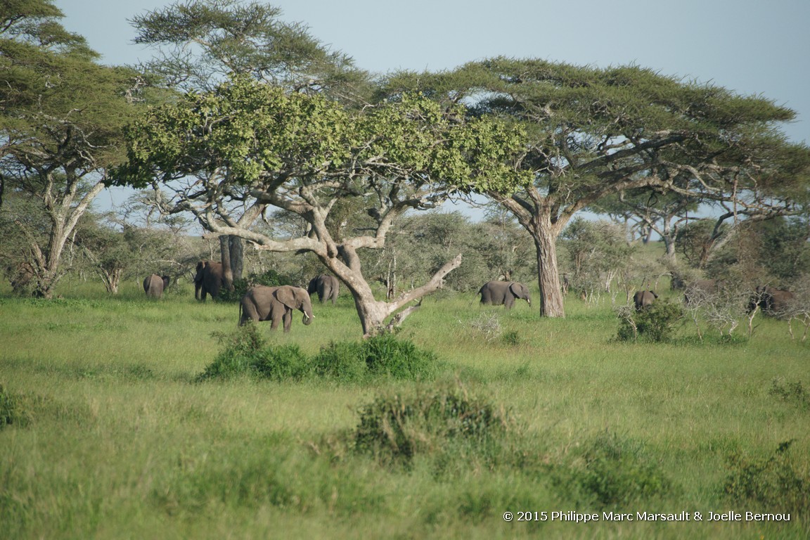 /ecran/Tanzanie_2015_0612.jpg