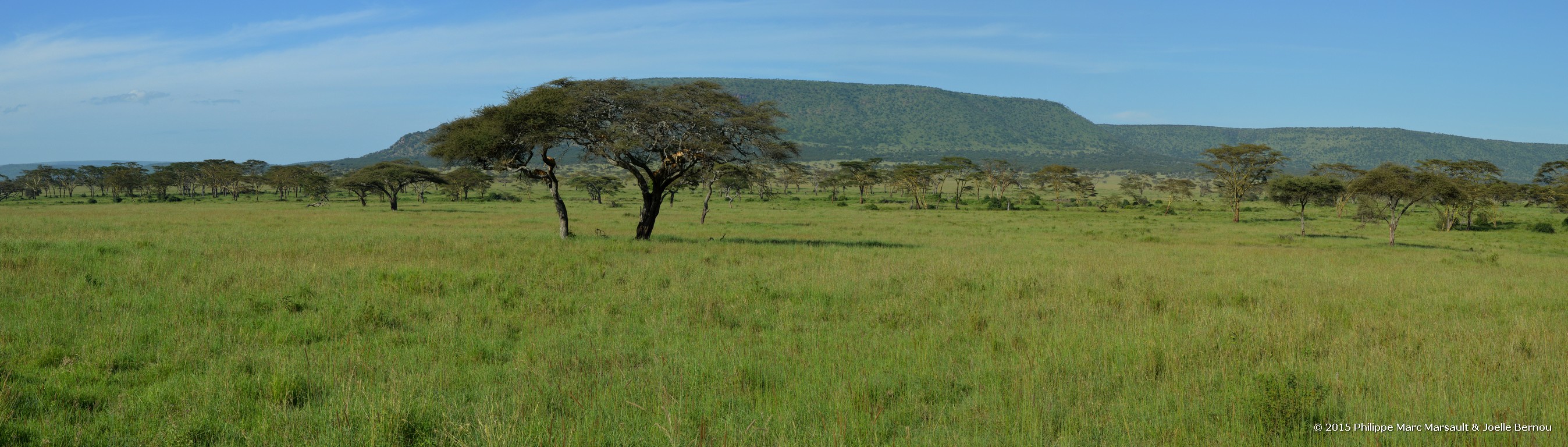 /ecran/Tanzanie_2015_0632.jpg