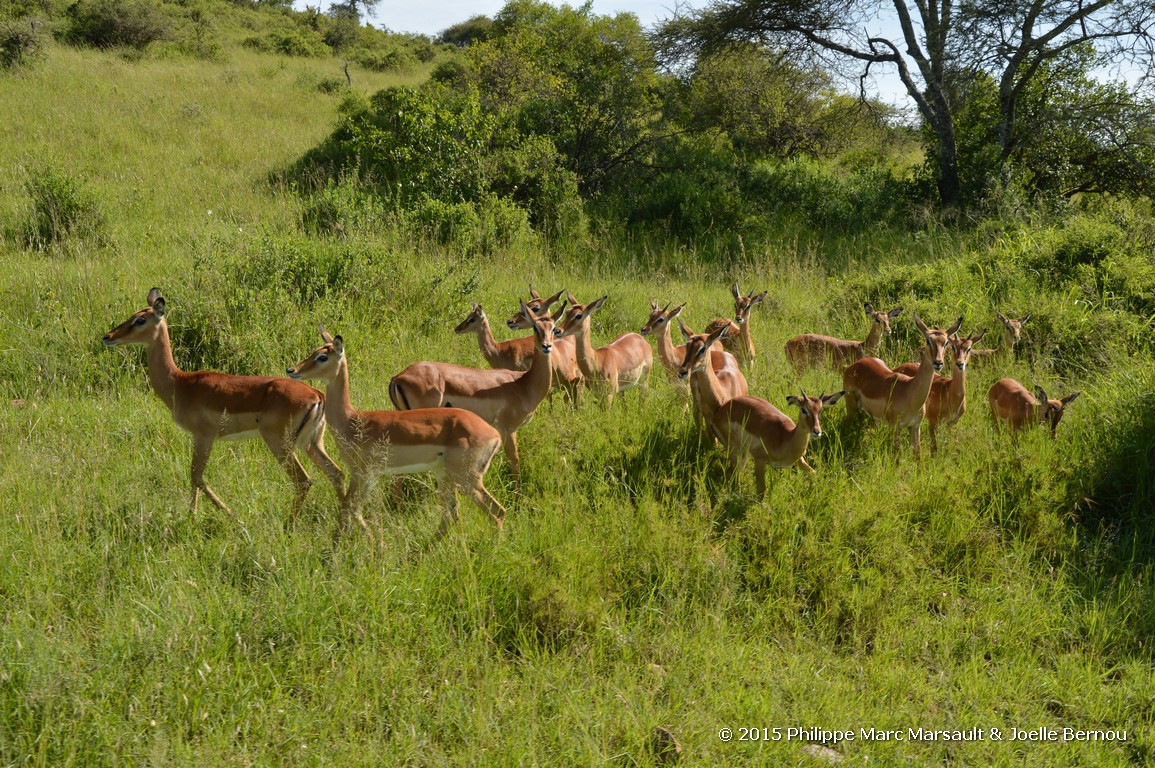 /ecran/Tanzanie_2015_0683.jpg