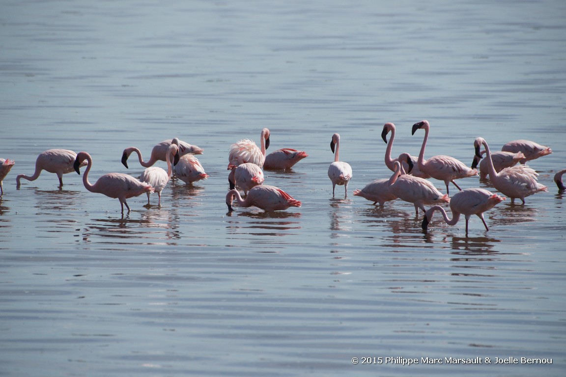 /ecran/Tanzanie_2015_0695.jpg