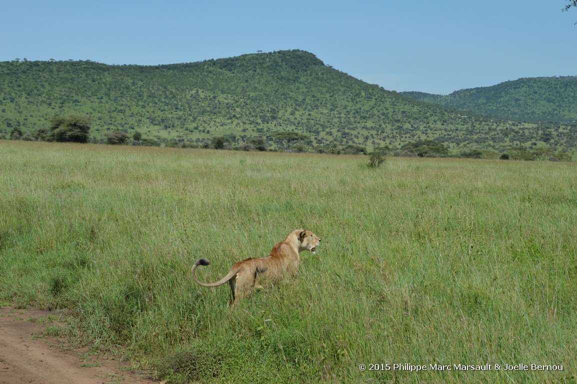 /ecran/Tanzanie_2015_0737.jpg