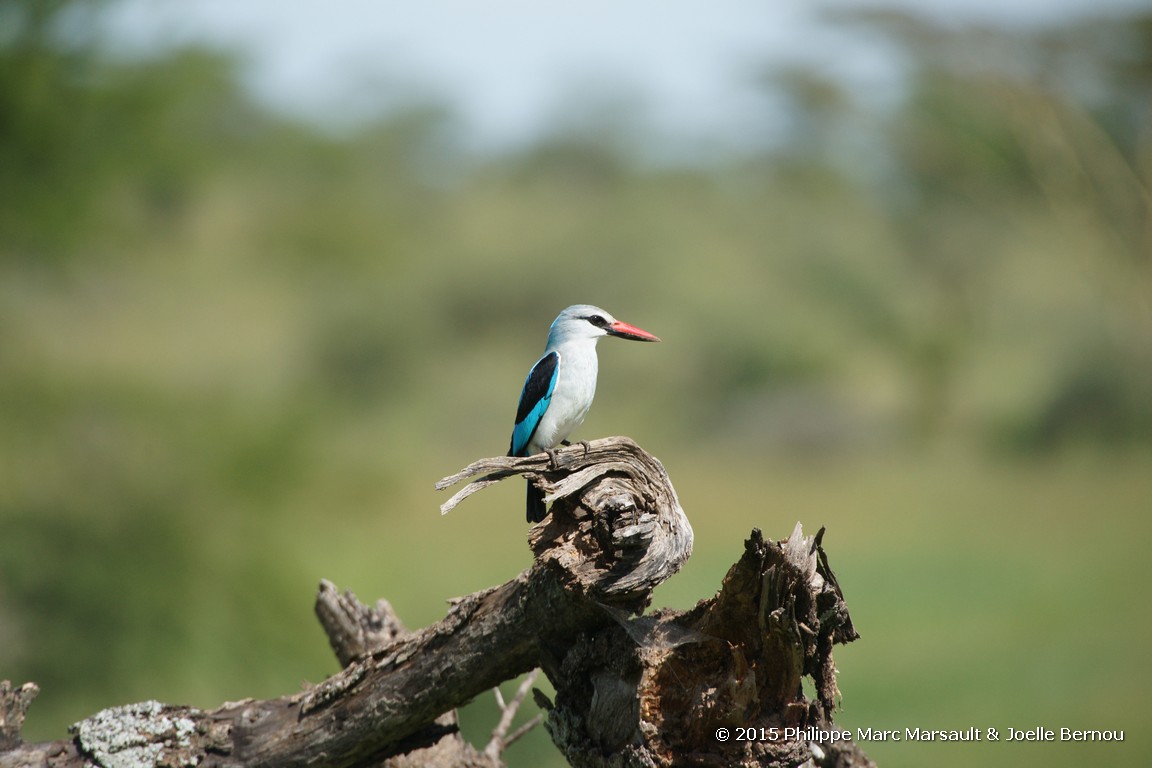 /ecran/Tanzanie_2015_0805.jpg