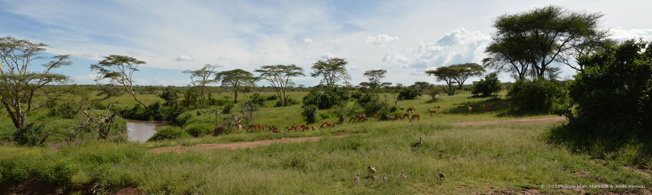 /ecran/Tanzanie_2015_0812.jpg