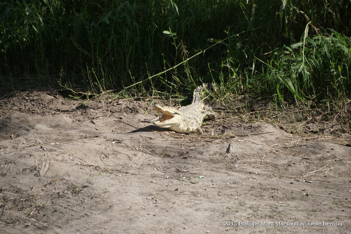 /ecran/Tanzanie_2015_0824.jpg