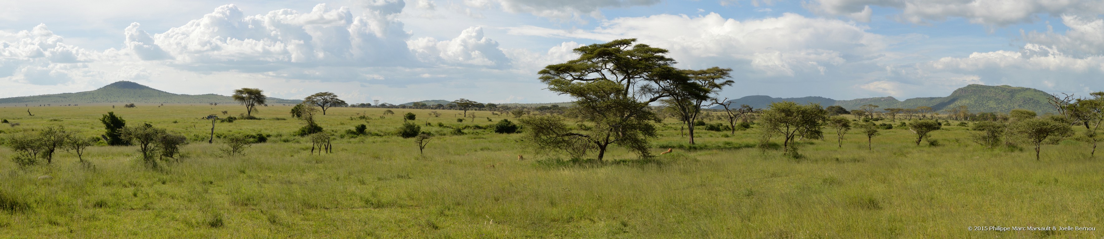 /ecran/Tanzanie_2015_0829.jpg