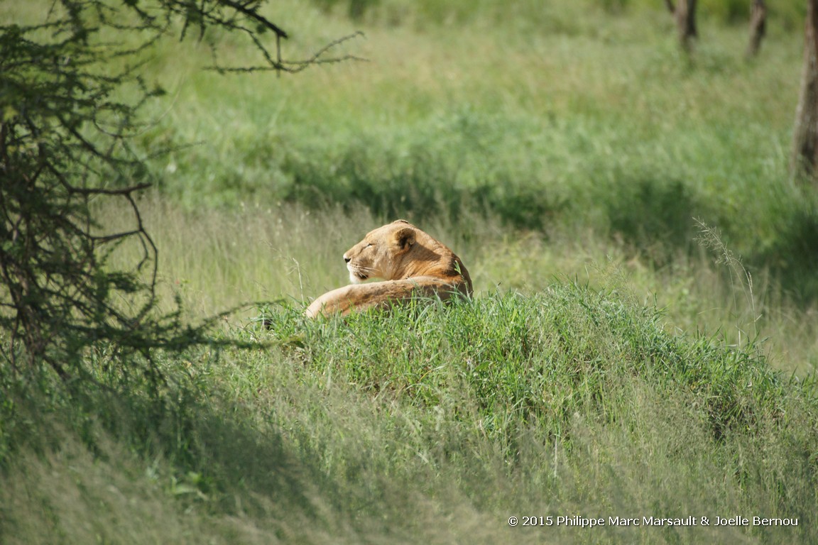 /ecran/Tanzanie_2015_0830.jpg