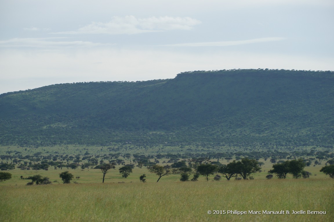 /ecran/Tanzanie_2015_0848.jpg