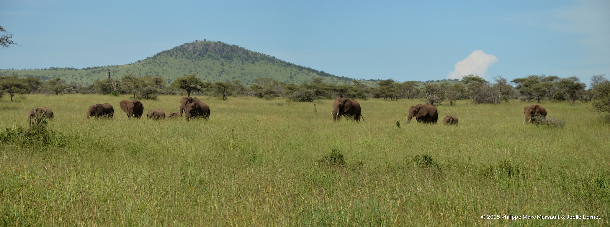 /ecran/Tanzanie_2015_0893.jpg