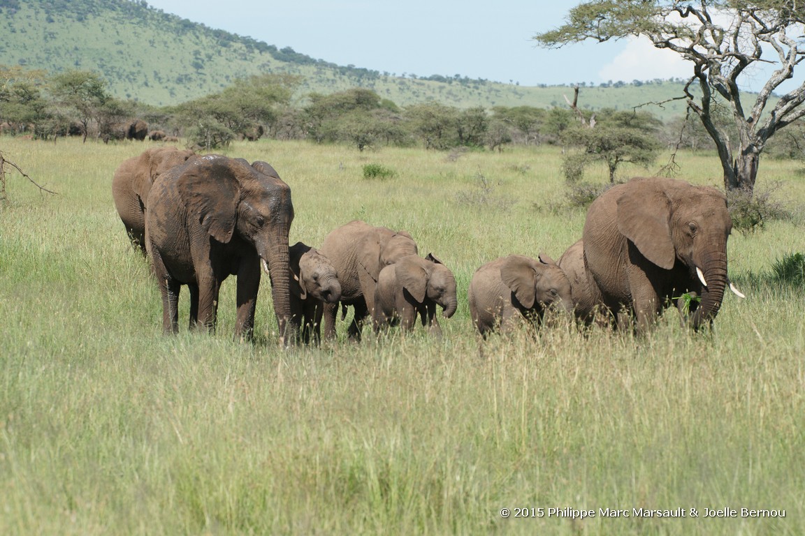 /ecran/Tanzanie_2015_0898.jpg