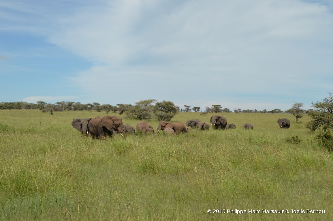 /ecran/Tanzanie_2015_0940.jpg