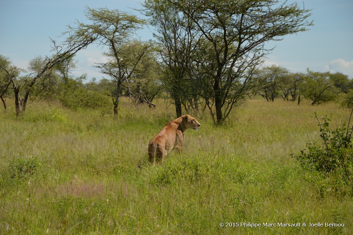 /ecran/Tanzanie_2015_0980.jpg