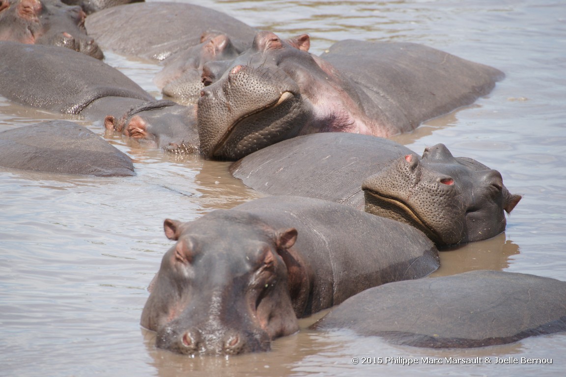 /ecran/Tanzanie_2015_0995.jpg