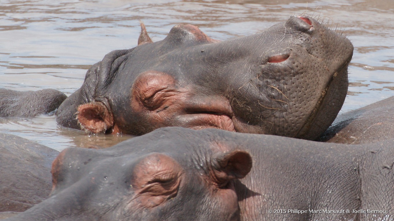 /ecran/Tanzanie_2015_1002.jpg