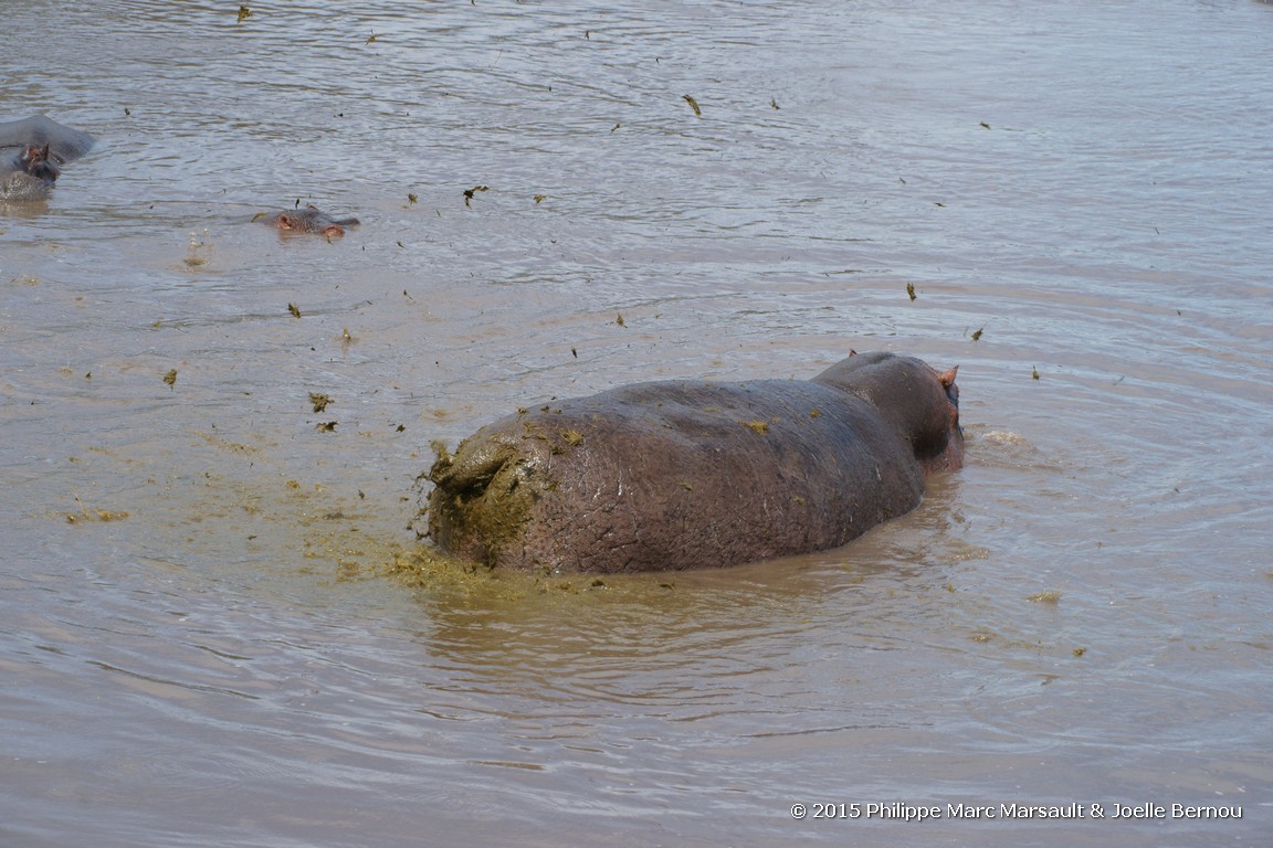 /ecran/Tanzanie_2015_1009.jpg