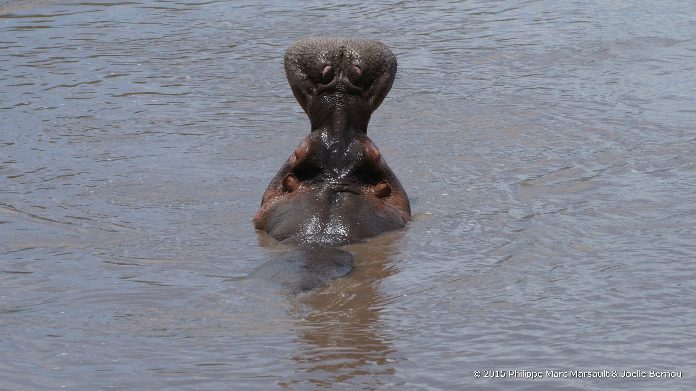 /ecran/Tanzanie_2015_1011.jpg