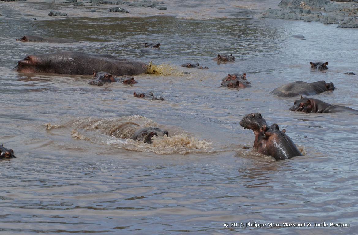 /ecran/Tanzanie_2015_1036.jpg