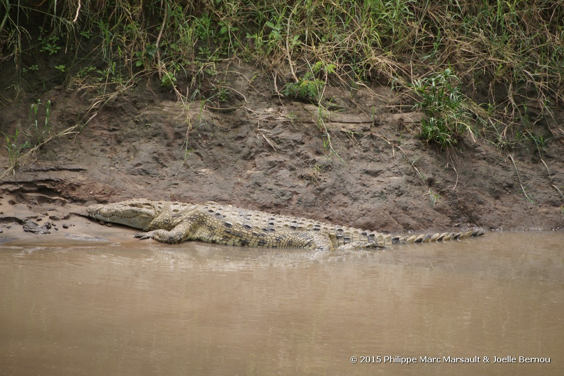 /ecran/Tanzanie_2015_1046.jpg