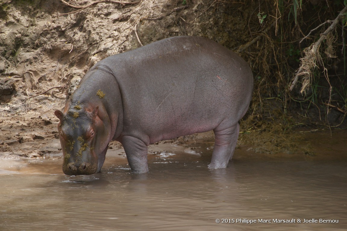 /ecran/Tanzanie_2015_1071.jpg